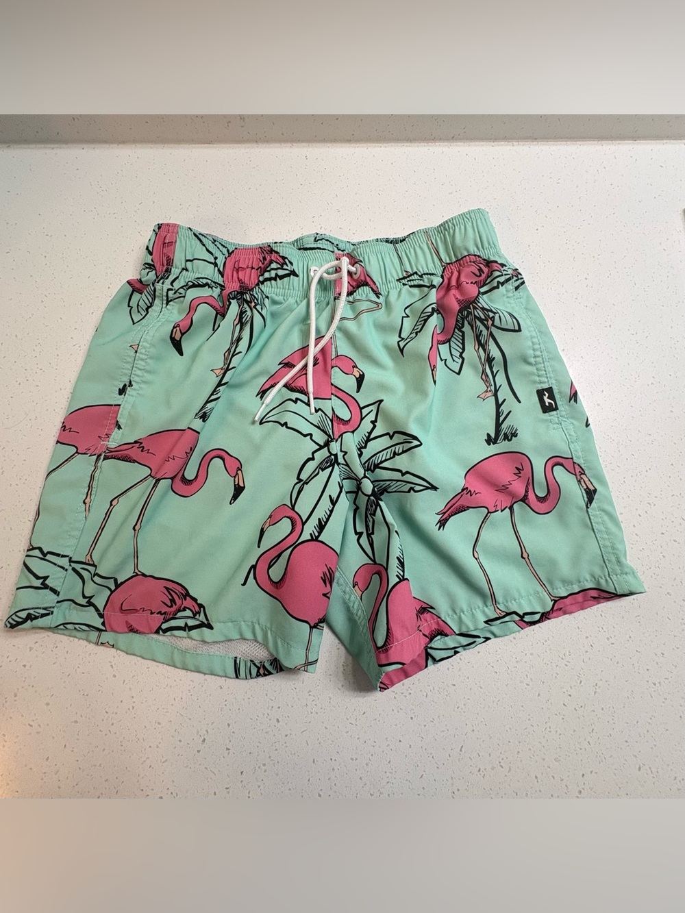 Hollister Mint Green Flamingo Swim Trunks Size XS